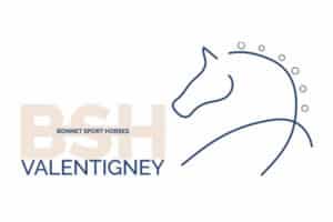 Logo BSH Valentigney