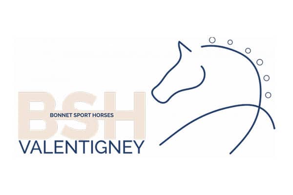 Logo BSH Valentigney